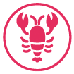 Mollusques