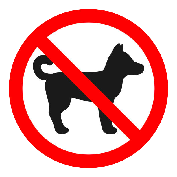 Chien-non-admis